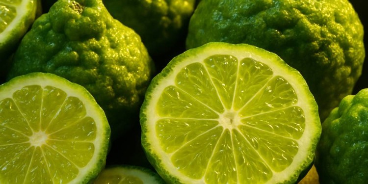 Bergamote